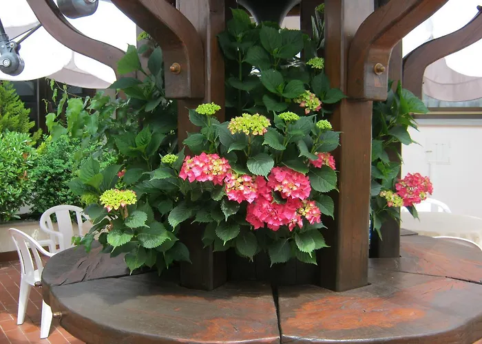 Margherita 公寓式酒店 蒙泰克雷托